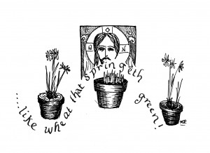 flower pots